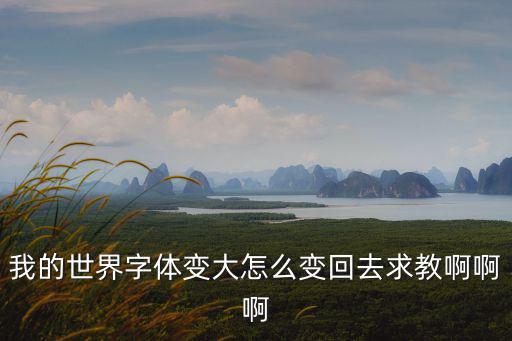 我的世界字体变大怎么变回去求教啊啊啊