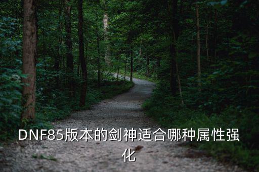 dnf剑神吃什么属性，DNF剑神 选什么什么属性 适合