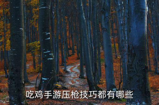 吃鸡手游压枪技巧都有哪些
