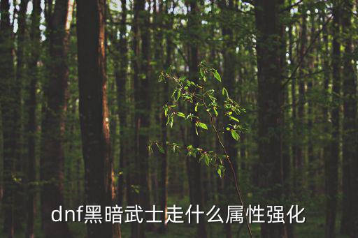 dnf黑暗武士走什么属性强化