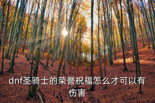dnf圣骑士的荣誉祝福怎么才可以有伤害