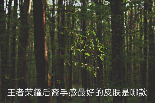 王者荣耀后裔手感最好的皮肤是哪款