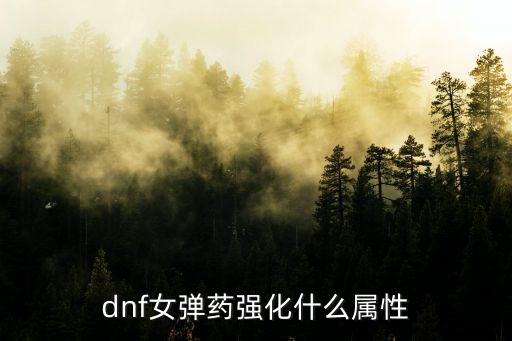 dnf弹药玩什么属性强化，DNF弹药用什么属性