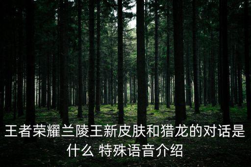 王者荣耀兰陵王新皮肤和猎龙的对话是什么 特殊语音介绍
