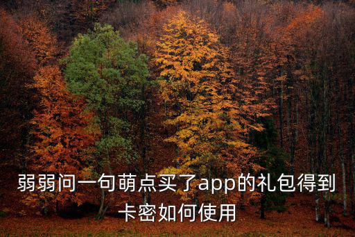 弱弱问一句萌点买了app的礼包得到卡密如何使用