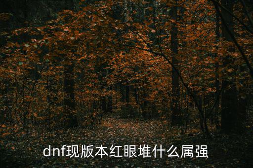 dnf现版本红眼堆什么属强