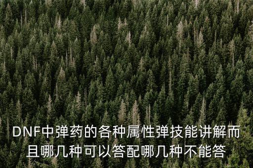 DNF中弹药的各种属性弹技能讲解而且哪几种可以答配哪几种不能答