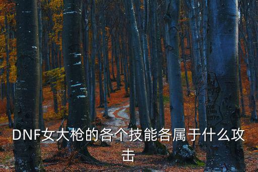 DNF女大枪的各个技能各属于什么攻击