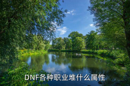 DNF各种职业堆什么属性