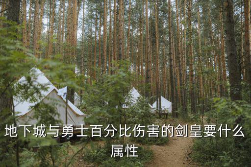 DNF剑皇主什么属性，dnf剑皇走什么属强