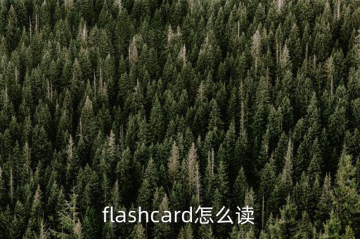 flashcard怎么读