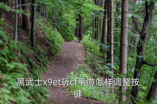 黑武士x9et玩cf手游怎样调整按键