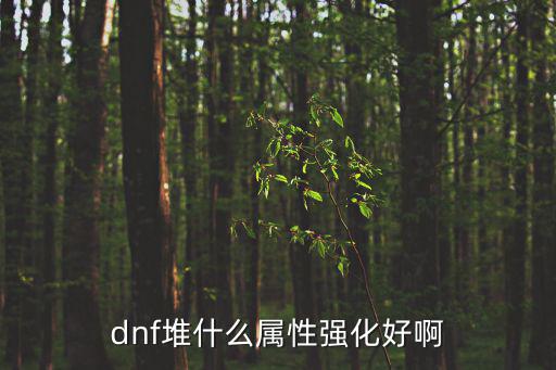 dnf堆什么属性强化好啊