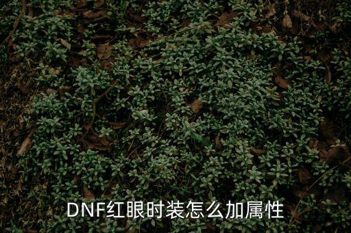 DNF红眼时装怎么加属性