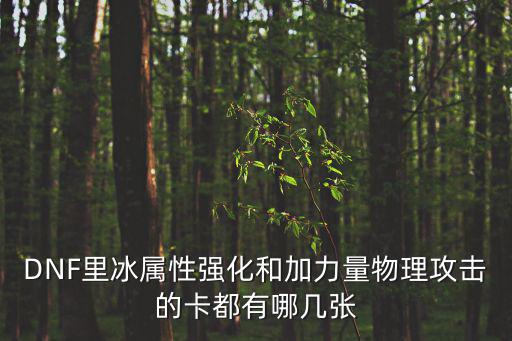 DNF里冰属性强化和加力量物理攻击的卡都有哪几张