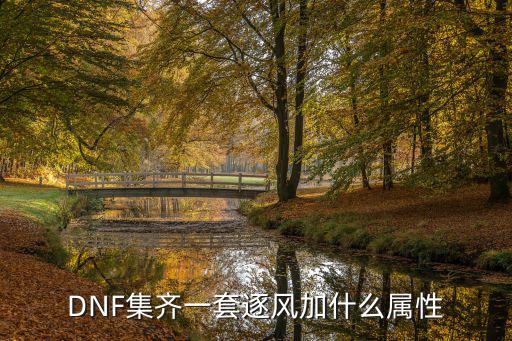 dnf风法师配什么属性，DNF集齐一套逐风加什么属性