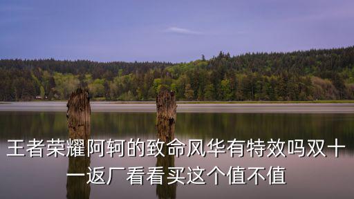 王者荣耀阿轲的致命风华有特效吗双十一返厂看看买这个值不值