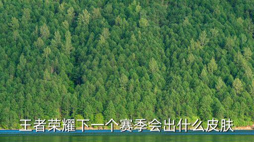 王者荣耀下一个赛季会出什么皮肤
