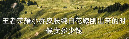 王者荣耀小乔皮肤纯白花嫁刚出来的时候卖多少钱