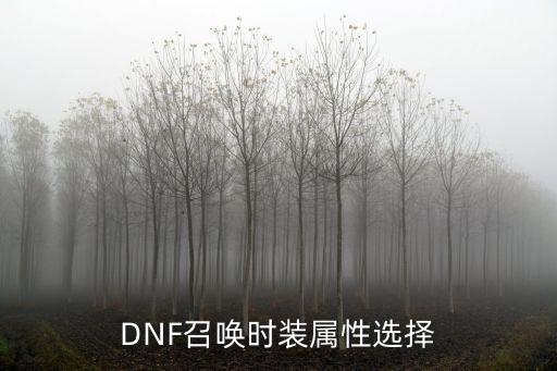 DNF召唤时装属性选择