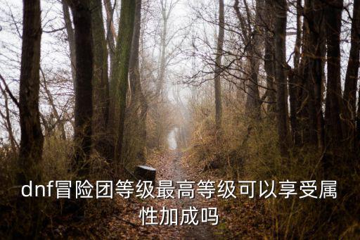 dnf冒险团等级最高等级可以享受属性加成吗