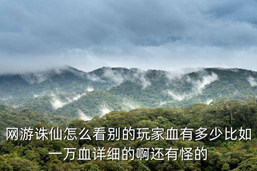 网游诛仙怎么看别的玩家血有多少比如一万血详细的啊还有怪的