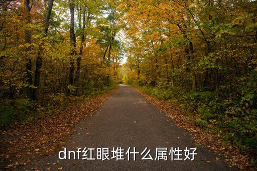 dnf红眼堆什么属性好