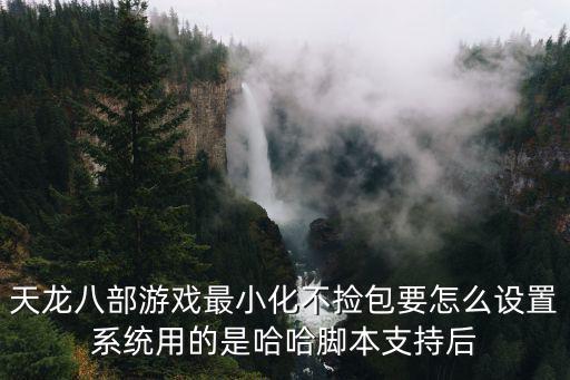 天龙八部游戏最小化不捡包要怎么设置系统用的是哈哈脚本支持后