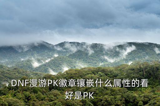 DNF漫游PK徽章镶嵌什么属性的看好是PK