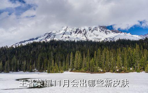 王者荣耀11月会出哪些新皮肤
