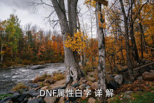 DNF属性白字 详 解