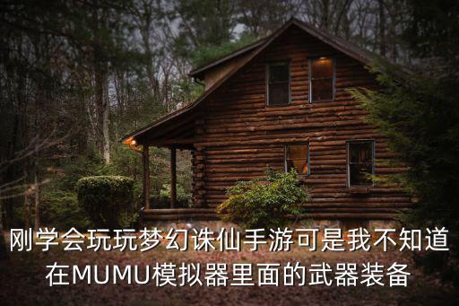 刚学会玩玩梦幻诛仙手游可是我不知道在MUMU模拟器里面的武器装备