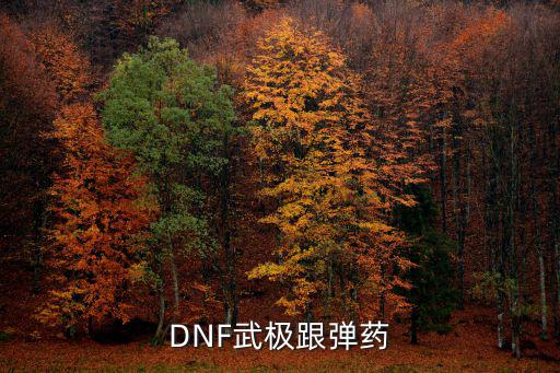 dnf乌鸡是什么属性攻击，DNF中乌鸡是什么