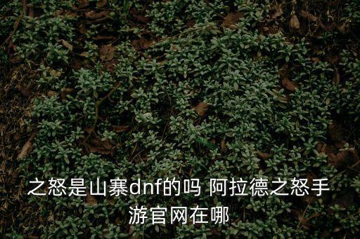 之怒是山寨dnf的吗 阿拉德之怒手游官网在哪