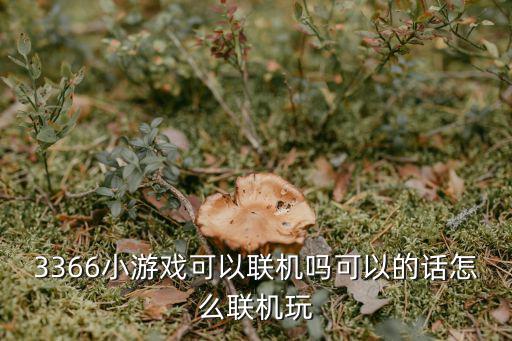 追逐手游双人联机怎么玩，双人的手机游戏