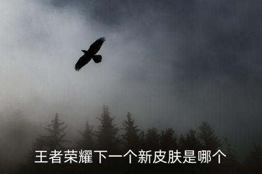 王者荣耀下一个新皮肤是哪个