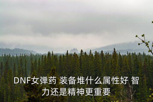 DNF女弹药 装备堆什么属性好 智力还是精神更重要