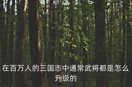 在百万人的三国志中通常武将都是怎么升级的