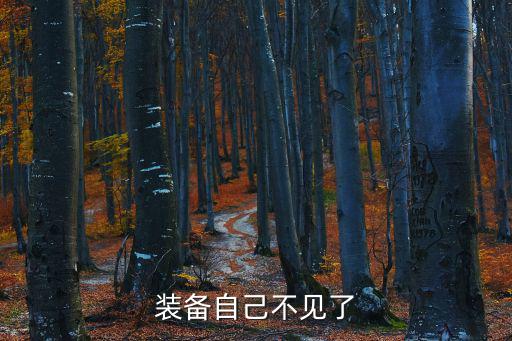 装备自己不见了
