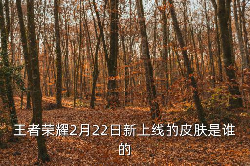 王者荣耀2月22日新上线的皮肤是谁的