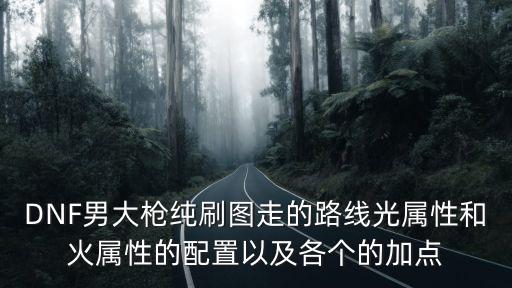 dnf光枪需要什么属性，DNF男大枪纯刷图走的路线光属性和火属性的配置以及各个的加点