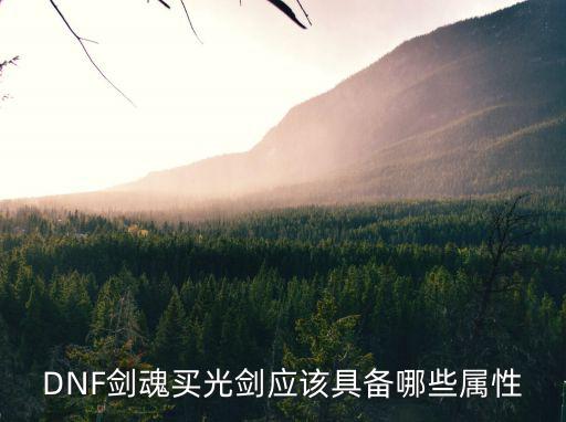 dnf剑魂光环属性选什么，DNF剑魂买光剑应该具备哪些属性