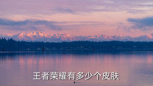 王者荣耀有多少个皮肤