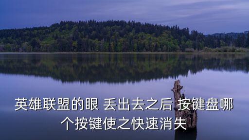 英雄联盟的眼 丢出去之后 按键盘哪个按键使之快速消失
