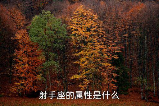 DNF星座射手是什么属性，射手座的属性是什么