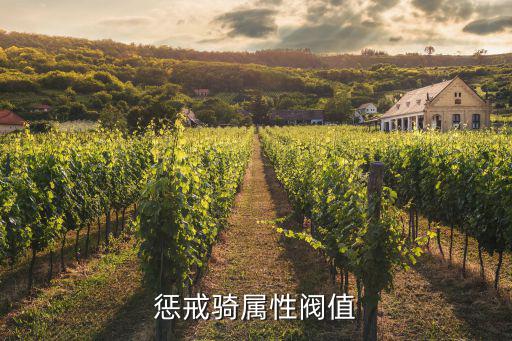 dnf惩戒骑士堆什么属性，惩戒骑属性阀值