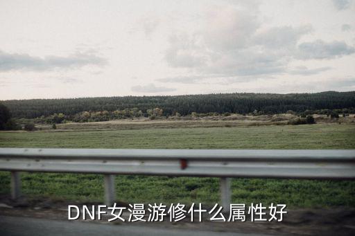 DNF女漫游修什么属性好