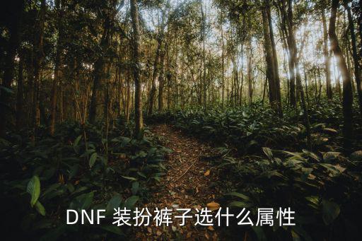 dnf装扮裤子选什么属性，DNF 装扮裤子选什么属性