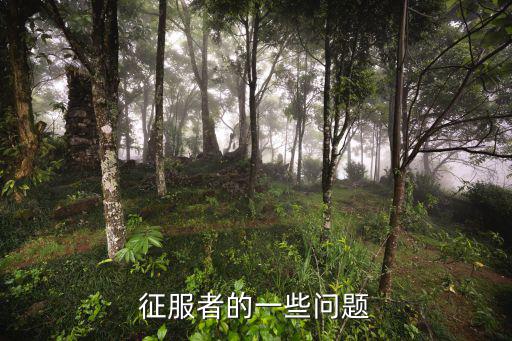 征服者的一些问题