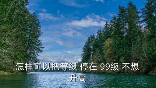怎样可以把等级 停在 99级 不想升高